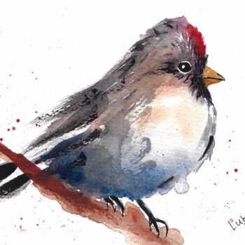 Painting titled "Common Redpoll Fema…" by Luba Kholov, Original Artwork, Watercolor