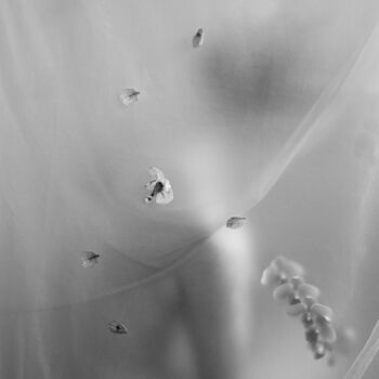 Fotografie mit dem Titel "Whispers of Time -…" von Xidong Luo, Original-Kunstwerk, Digitale Fotografie