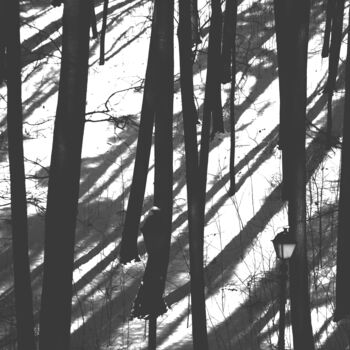 Φωτογραφία με τίτλο "Verticals and dagon…" από Vadim Bogdanov, Αυθεντικά έργα τέχνης, Ψηφιακή φωτογραφία