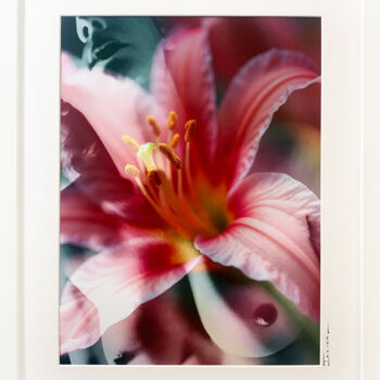 Floralys I