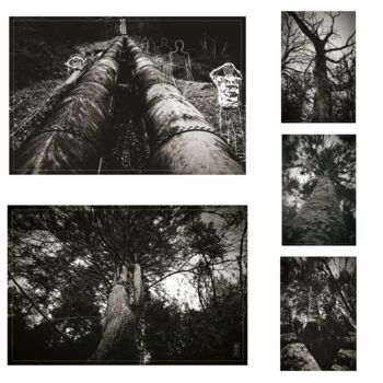 Digital Arts titled "A MAN IN THE WOODS…" by Benarth, Original Artwork, Digital Photography