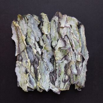 Collages titled "Scortea 3- Espèces…" by Isabelle Stagg, Original Artwork, Collages Mounted on Other rigid panel