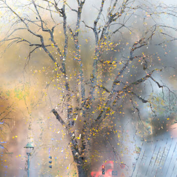Φωτογραφία με τίτλο "Last days of autumn" από Andreas Fink, Αυθεντικά έργα τέχνης, Ψηφιακή φωτογραφία