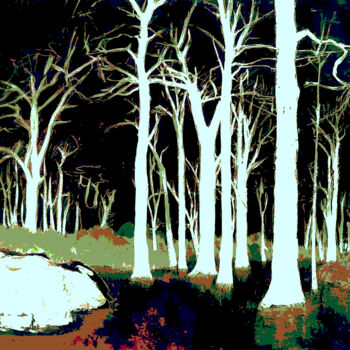 Photographie intitulée "WOODLAND DREAMS" par John Stanley, Œuvre d'art originale, Photographie numérique