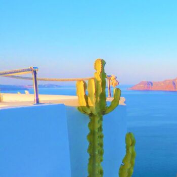 Photographie intitulée "Cactus ." par Dominique Picard, Œuvre d'art originale, Photographie numérique