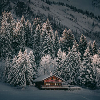 Photographie intitulée "Le Refuge des Aravi…" par Loïc Cancade, Œuvre d'art originale, Photographie numérique
