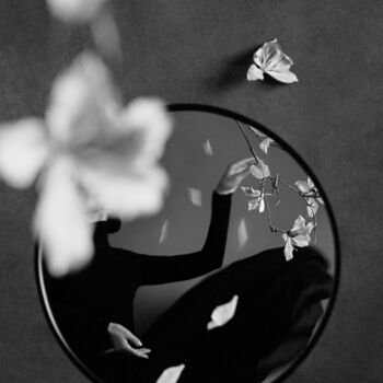 제목이 "The Rite of Spring…"인 사진 Xidong Luo로, 원작, 디지털