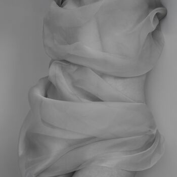 Veil, II