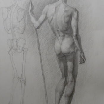 Anatomical Dialogue