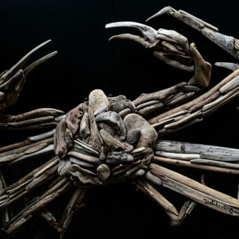 Sculpture intitulée "Crabe des Neiges" par Gary Detcheverry, Œuvre d'art originale, Bois