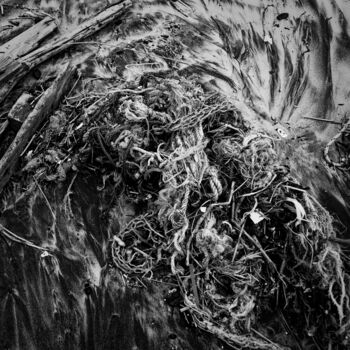 Photographie intitulée "Rejet" par Yann Le Ligeour, Œuvre d'art originale, Photographie non manipulée Monté sur Aluminium