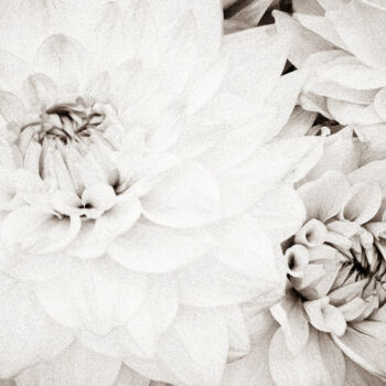 제목이 "Dahlia Mandala – Ge…"인 사진 Sanzhi Chieh로, 원작, 디지털