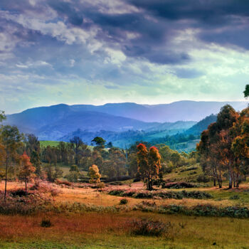 Photography titled "The Megalong Valley" by Peter Watson, Original Artwork, Digital Photography Mounted on Wood Stretcher fr…