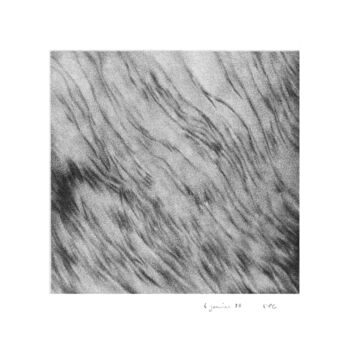 图画 标题为“dessins 15x15 #12” 由Marie-Pascale Corcuff, 原创艺术品, 铅笔
