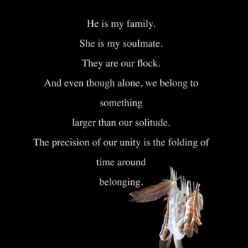 Digital Arts titled "Family" by Photospoon, Original Artwork, 2D Digital Work