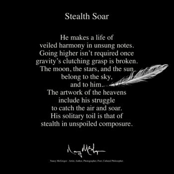 Photography titled "Stealth Soar" by Photospoon, Original Artwork, 2D Digital Work