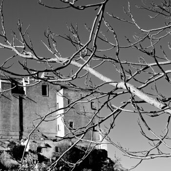 Photography titled "Intrecci" by Alessandro Carbonara, Original Artwork, Digital Photography