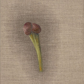 Pintura titulada "Untitled No.14. Ser…" por Lena Ash, Obra de arte original, Pigmentos Montado en Bastidor de camilla de mad…