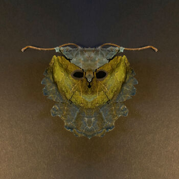 Digital Arts titled "Ranis" by Bettina Eberhaerd, Original Artwork, Photo Montage
