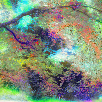 Digital Arts titled "Forêt enchantée" by Michel Guillaumeau, Original Artwork, Digital Painting