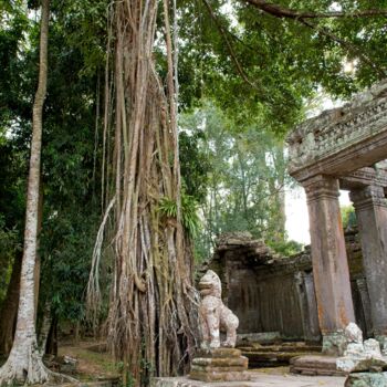 "Angkor, Banian Tree" başlıklı Fotoğraf Michel Kergonna tarafından, Orijinal sanat, Dijital Fotoğrafçılık Alüminyum üzerine…