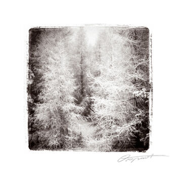 Fotografía titulada "Silence de neige" por Gilles Deschamps (OXPIRIT), Obra de arte original, Fotografía manipulada Montado…