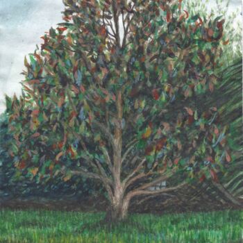 Painting titled "Magnolia" by Camille Geoffroy, Original Artwork, Watercolor