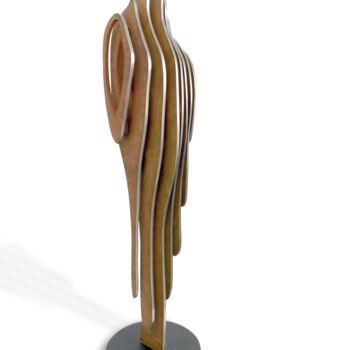 Sculpture titled "Shade Shape" by Arno Sebban, Original Artwork, Stainless Steel
