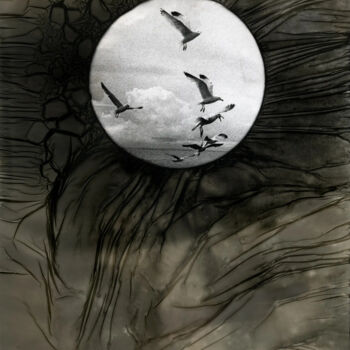 Photography titled "Décomposition anato…" by Clément Marion, Original Artwork, Paper