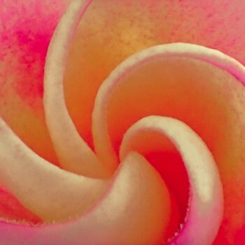 Printmaking titled "La spirale" by Christian Lefevre, Original Artwork, Aluminium
