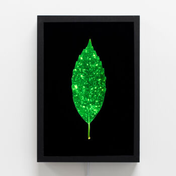 Gravures & estampes intitulée "Feuille d'aucuba" par Marc Couturier, Œuvre d'art originale, Acier inoxydable