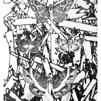 Gravures & estampes intitulée "Mimèsis, Vol. 1 , N…" par Balthazar Convert, Œuvre d'art originale, Gravure
