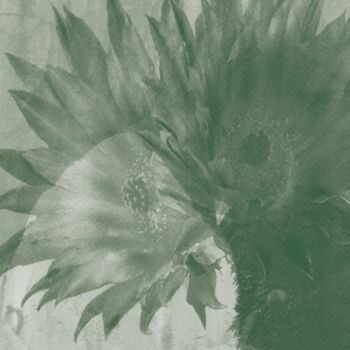 Photography titled "Les Tropiquantes #01" by Emma Charrin, Original Artwork, Screenprinting