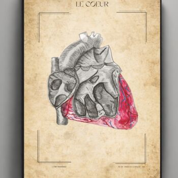 Drawing titled "Le coeur" by Belkis Rabie, Original Artwork, Pencil