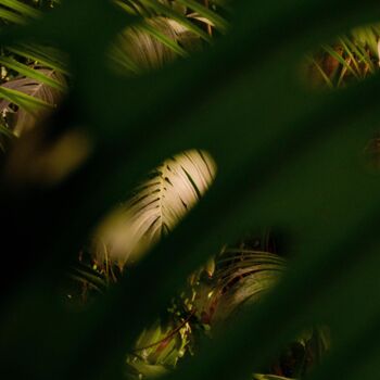 Photography titled "Respirons" by Théo Antonin, Original Artwork, Paper