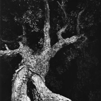 Photography titled "Aime la nuit" by Johannes Von Saurma, Original Artwork, Paper