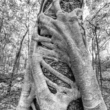 Photographie intitulée "Nouvelle Calédonie…" par Pierre Alain Pantz, Œuvre d'art originale, Impression numérique