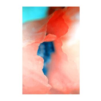 Photography titled "Coquelicot" by Céline Foussadier, Original Artwork, Paper