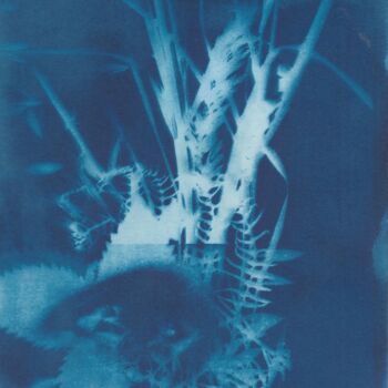 Printmaking titled "Œil-champs 1" by Céline Foussadier, Original Artwork, Digital Print
