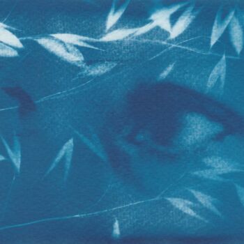 Printmaking titled "Oeil champs 2" by Céline Foussadier, Original Artwork, Digital Print