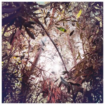 Photography titled "21_YOURART_resistan…" by Ana Bloom, Original Artwork, Digital Print