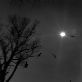Photography titled "Vol de Nuit  " by Johannes Von Saurma, Original Artwork, Paper