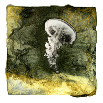 Printmaking titled "Méduse 001" by Clément Marion, Original Artwork, Digital Print