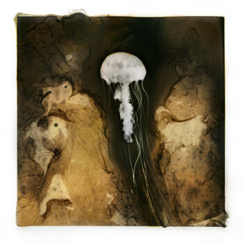 Photographie intitulée "Méduse 004" par Clément Marion, Œuvre d'art originale, Impression numérique
