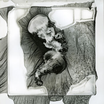 Printmaking titled "Méduse 013" by Clément Marion, Original Artwork, Digital Print