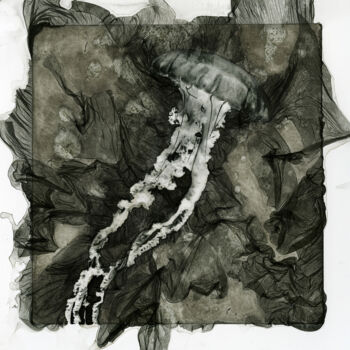 Printmaking titled "Méduse 014" by Clément Marion, Original Artwork, Digital Print