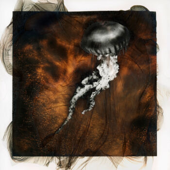 Photography titled "Méduse 089" by Clément Marion, Original Artwork, Digital Print
