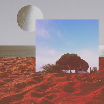 Photography titled "Reflexions" by Ana Zegheanu, Original Artwork, Paper