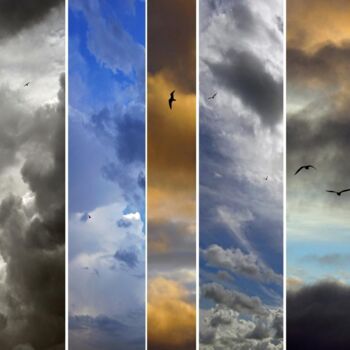 Photographie intitulée "Fragments de ciels…" par Daniel Gautier, Œuvre d'art originale, Aluminium