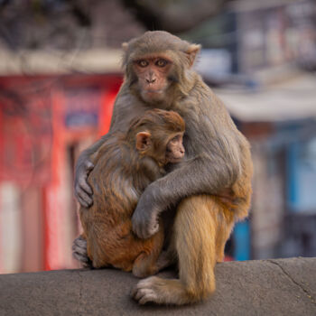 Photography titled ""Humanity"" by Guilhem Nascimben, Original Artwork, Digital Photography